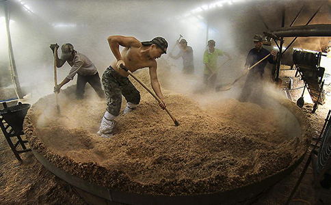 醉開心散酒鋪貨指南加盟or自營？免費(fèi)鋪貨政策成破局關(guān)鍵